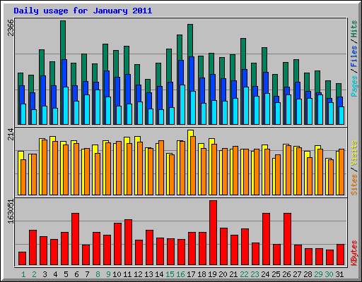 Daily usage for January 2011